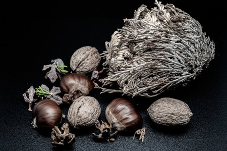 A composition of typically autumnal fruits such as walnuts and chestnuts enhancing their beauty and detail.の写真素材