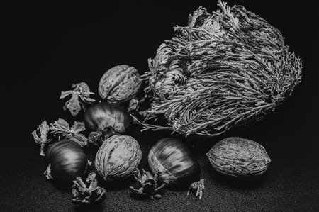 A composition of typically autumnal fruits such as walnuts and chestnuts enhancing their beauty and detail.の写真素材