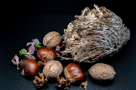 A composition of typically autumnal fruits such as walnuts and chestnuts enhancing their beauty and detail.の写真素材