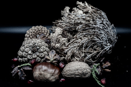 A composition of typically autumnal fruits such as walnuts and chestnuts enhancing their beauty and detail.の写真素材