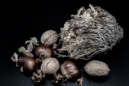 A composition of typically autumnal fruits such as walnuts and chestnuts enhancing their beauty and...