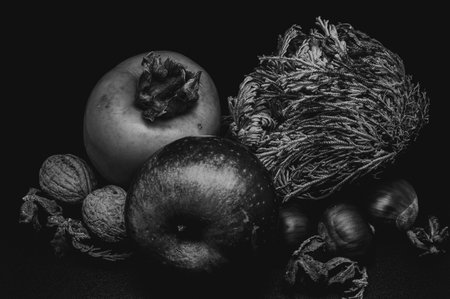 A composition of typically autumnal fruits such as chestnuts, walnuts, persimmons or the apple, enhancing their beauty and detail.の写真素材