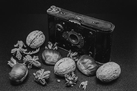 Still life of a vintage cameraの写真素材