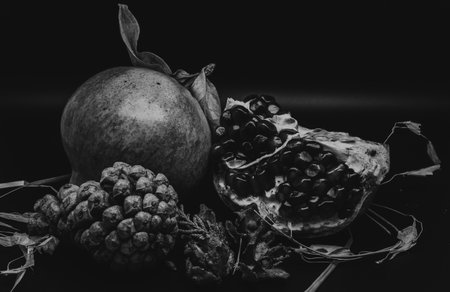 The pomegranate is the fruit of the pomegranate tree (Punica granatum), a spherical, deep red berry with a thick skin that encloses numerous juicy seeds (arils).の写真素材
