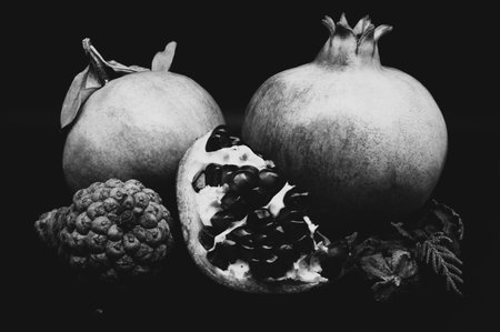 The pomegranate is the fruit of the pomegranate tree (Punica granatum), a spherical, deep red berry with a thick skin that encloses numerous juicy seeds (arils).の写真素材