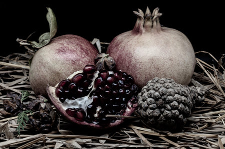 The pomegranate is the fruit of the pomegranate tree (Punica granatum), a spherical, deep red berry...