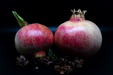 The pomegranate is the fruit of the pomegranate tree (Punica granatum), a spherical, deep red berry with a thick skin that encloses numerous juicy seeds (arils).の写真素材