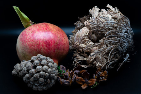 The pomegranate is the fruit of the pomegranate tree (Punica granatum), a spherical, deep red berry with a thick skin that encloses numerous juicy seeds (arils).の写真素材