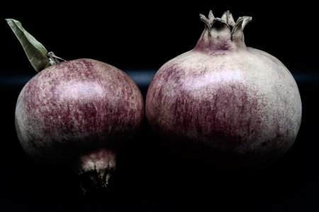 The pomegranate is the fruit of the pomegranate tree (Punica granatum), a spherical, deep red berry with a thick skin that encloses numerous juicy seeds (arils).の写真素材