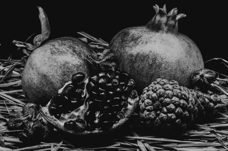 The pomegranate is the fruit of the pomegranate tree (Punica granatum), a spherical, deep red berry with a thick skin that encloses numerous juicy seeds (arils).の写真素材