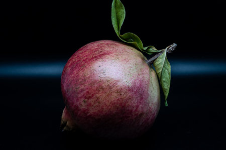 The pomegranate is the fruit of the pomegranate tree (Punica granatum), a spherical, deep red berry with a thick skin that encloses numerous juicy seeds (arils).の写真素材