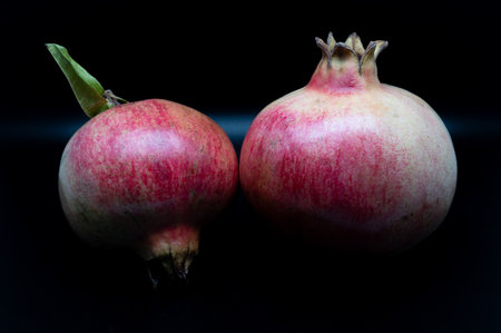 The pomegranate is the fruit of the pomegranate tree (Punica granatum), a spherical, deep red berry with a thick skin that encloses numerous juicy seeds (arils).の写真素材