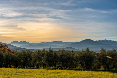 Molise is an Italian region with a stretch of coast overlooking the Adriatic Sea. It includes a part of the Abruzzo National Park in the Apennine mountain range, with a rich wildlife and trails.の写真素材