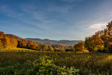 Molise is an Italian region with a stretch of coast overlooking the Adriatic Sea. It includes a part of the Abruzzo National Park in the Apennine mountain range, with a rich wildlife and trails.の写真素材