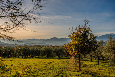 Molise is an Italian region with a stretch of coast overlooking the Adriatic Sea. It includes a part of the Abruzzo National Park in the Apennine mountain range, with a rich wildlife and trails.の写真素材