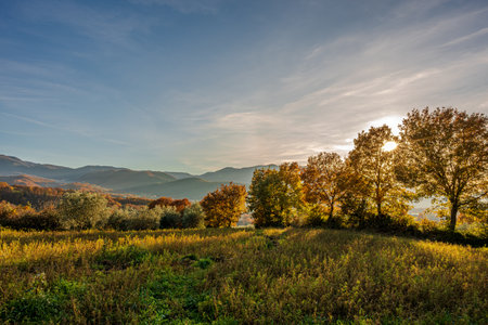 Molise is an Italian region with a stretch of coast overlooking the Adriatic Sea. It includes a part of the Abruzzo National Park in the Apennine mountain range, with a rich wildlife and trails.の写真素材