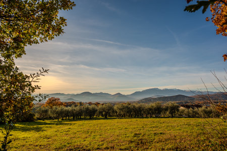 Molise is an Italian region with a stretch of coast overlooking the Adriatic Sea. It includes a part of the Abruzzo National Park in the Apennine mountain range, with a rich wildlife and trails.の写真素材