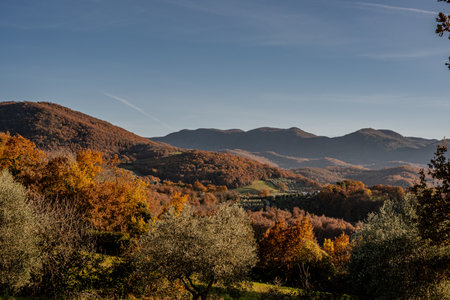 Molise is an Italian region with a stretch of coast overlooking the Adriatic Sea. It includes a part of the Abruzzo National Park in the Apennine mountain range, with a rich wildlife and trails.の写真素材