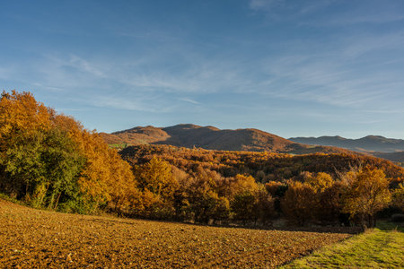 Molise is an Italian region with a stretch of coast overlooking the Adriatic Sea. It includes a part...