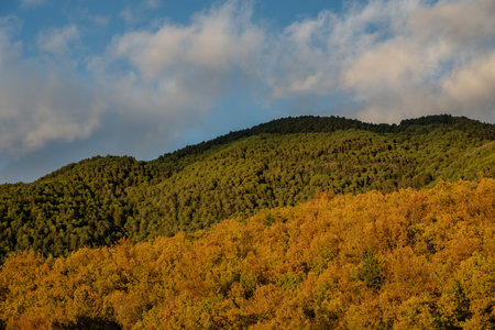 Molise is an Italian region with a stretch of coast overlooking the Adriatic Sea. It includes a part...