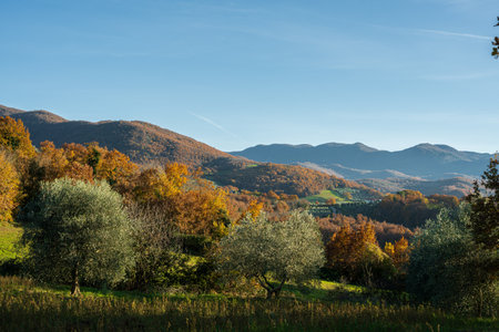 Molise is an Italian region with a stretch of coast overlooking the Adriatic Sea. It includes a part of the Abruzzo National Park in the Apennine mountain range, with a rich wildlife and trails.の写真素材