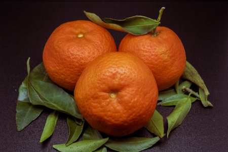 The clementine is a citrus fruit, a hybrid between the Mediterranean mandarin and the sweet orange. It is also known as the mandarancio, which is the generic name for orange and mandarin hybrids.の写真素材