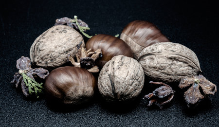 A composition of typically autumnal fruits such as chestnuts and walnuts, enhancing their beauty and detail.の写真素材