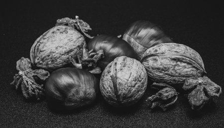 A composition of typically autumnal fruits such as chestnuts and walnuts, enhancing their beauty and detail.の写真素材