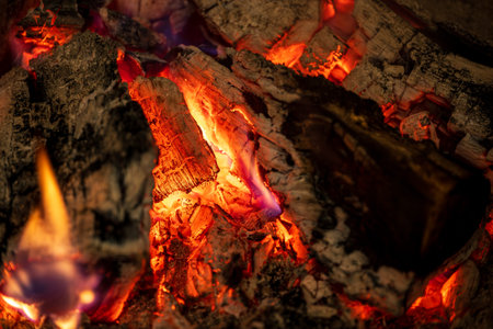 In winter, while it snows outside and the cold rages, the wood-burning fireplace with its magic and...