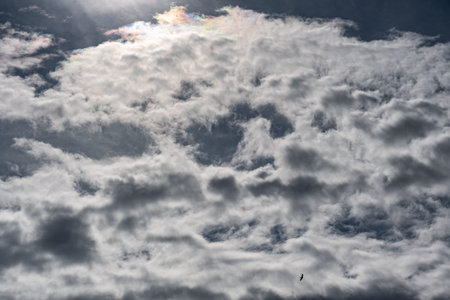Clouds in the sky. The wonderful spectacle of a sky full of clouds. Depth and three-dimensionality of a cloudy sky.の写真素材