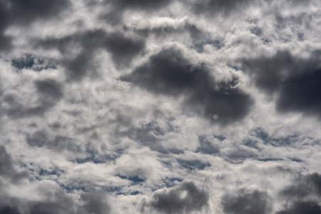 Clouds in the sky. The wonderful spectacle of a sky full of clouds. Depth and three-dimensionality...