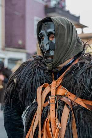 The European Carnival of Zoomorphic Masks is an event held in Isernia every year since 2023. It brings together zoomorphic masks from all over Europe for a celebration that lasts three or four days.の写真素材