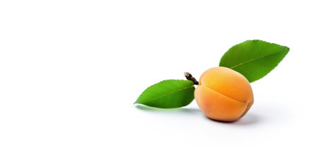Isolated ripe fresh apricot with leaf on white background. Vitamin-rich fruit. Macro of a dietary product. Header banner mockup with space. AI generated.の素材