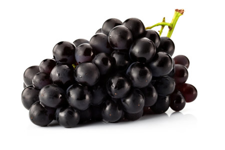 Vine of fresh blue Black Corinthian grapes, isolate on white background. Sprig of organic natural food. Illustration for business and site. AI generated.の素材