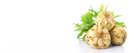 Fresh Jerusalem artichoke on a white background with a leaf. A popular healthy vegetable. Header banner mockup with space. AI generated.の素材