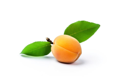 Isolated ripe fresh apricot with leaf on white background. Vitamin-rich fruit. Macro of a dietary product. AI generated.の素材