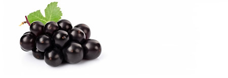Vine of fresh blue Black Corinthian grapes, isolate on white background. Sprig of organic natural food. Illustration for business and site. AI generated. Header banner mockup with space.の素材