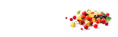 Fresh wild forest tropical exotic berries with leaf on books, isolate on white background. Macro studio shot. Useful berries, dietary vitamin. AI generated. Header banner mockup with space.の素材