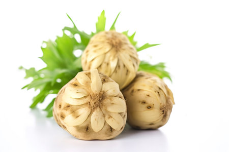 Fresh Jerusalem artichoke on a white background with a leaf. A popular healthy vegetable. AI generated.の素材