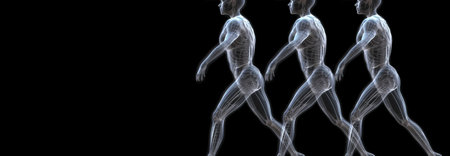 Anatomical structure of muscular system of human body, dark background. Header banner mockup with copy space. AI generated.の素材
