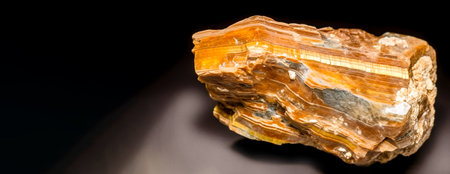 Wagnerite is rare precious natural geological stone on gradient background in low key, isolate. Header banner mockup with space. AI generated.の素材