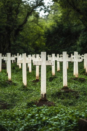 A tranquil military cemetery filled with white crosses marking the graves of soldiers.の素材