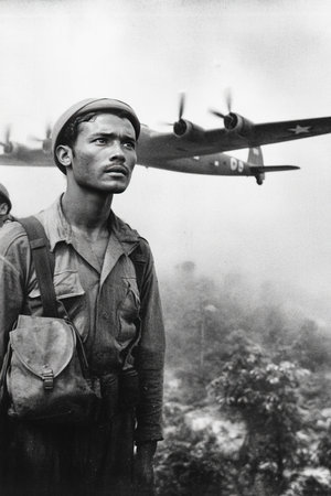 A soldier stands in a verdant landscape observing an aircraft flying overhead. The atmosphere is foggy contributing to a tense ambiance during conflicts in Malaya.の素材