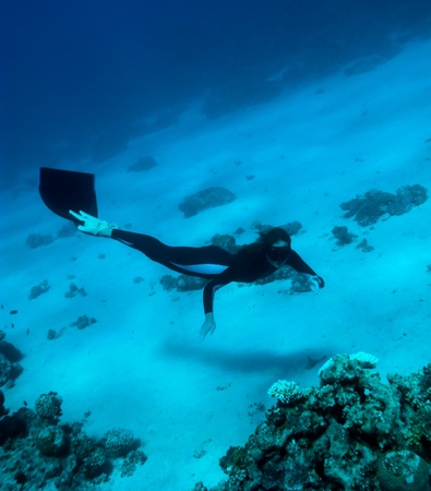 Freediver girl investigates a coral reef near the Red Sea bottomの写真素材