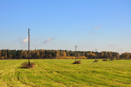 The autumn meadow view with a line of telegraph poles.の写真素材