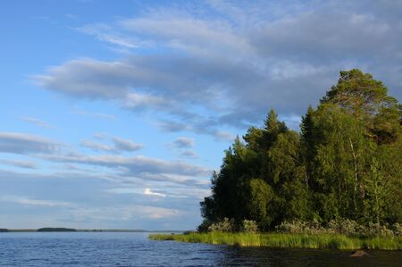 The beautiful picture of Karelian forest at the edge of a lake on a blue and cloudy sky backgroundの写真素材
