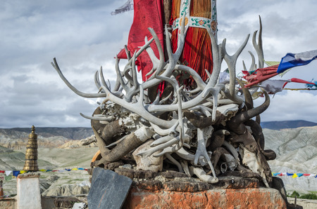 Horns, tusks and antlers of ancient dead animals on top of Lo Manthang king's palace roof, Upper Mustang, Nepal as a power symbolの写真素材