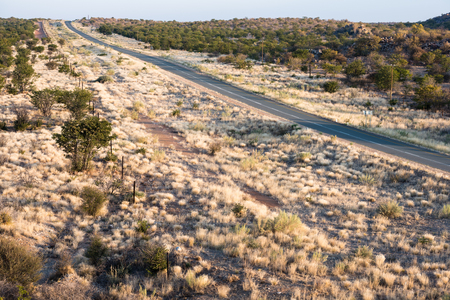 A modern asphalt road across Namibian endless plains with dry plants and small green treesの写真素材