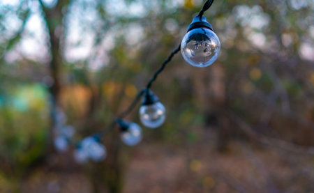 Christmas garland lights suspended in the garden. Not luminous.