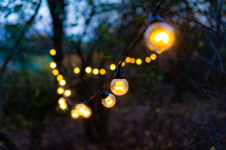 Christmas garland lights suspended in the garden. Retro style.の写真素材